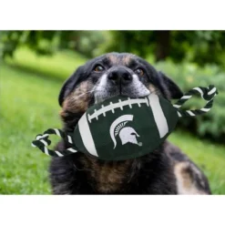 NCAA Michigan State Spartans Nylon Football Dog Toy
