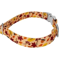 Country Brook Petz Premium Fall Foliage Dog Collar And Leash -PawHut Store GUEST e9fde8ae 1426 4ec9 b44a 4bedb35ff7fd