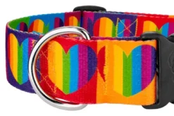 Country Brook Petz 1 1/2 Inch Deluxe Rainbow Hearts Dog Collar -PawHut Store GUEST ecbffe09 0d2e 42cb b03c 40f95f4c7376