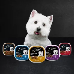 Cesar Poultry Lovers With Chicken, Turkey And Duck Flavor Adult Wet Dog Food - 7.93lb/36ct Variety Pack -PawHut Store GUEST ecf71cb3 2227 47bd a336 cc49acf9a924