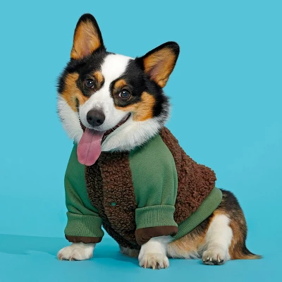 BARK Home Varsity Dog Jacket - Green 2 BARK Home Varsity Dog Jacket - Green - Image 2