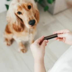 Zesty Paws Hemp Elements Omega Orastix For Dogs - Peppermint Flavor - 12oz 10 Zesty Paws Hemp Elements Omega Orastix For Dogs - Peppermint Flavor - 12oz -PawHut Store GUEST ee500ae9 2bd1 40cc 8ef3 06a9687f8fc2