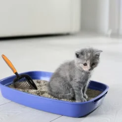 PAWBEE Metal Cat Litter Scoop - Premium Non-Stick Cat Litter Scooper With Holder - Deep Shovel Cat Scooper - Long Non-Slip Handle Kitty Litter Scoop -PawHut Store GUEST eebd6b59 f019 4909 b38a ebb50b800bdf