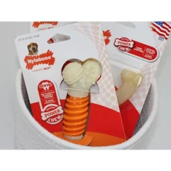 Nylabone Pro Action Dental Chew - Fresh Breath - 5" Long 5 Nylabone Pro Action Dental Chew - Fresh Breath - 5" Long -PawHut Store GUEST efc889cb 3a06 4186 8525 7e89dcf39cf9