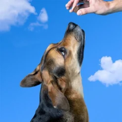 Native Pet Calming Air-Dried Chews With Chicken For Dogs - 60ct -PawHut Store GUEST f06a48dc 1210 48ca 854b ec67a6687c67