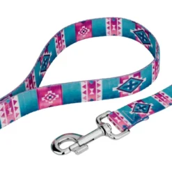 Country Brook Petz Albuquerque Deluxe Dog Collar And Leash -PawHut Store GUEST f0c7c09b 85cc 4249 8b4f 6c3e41621f91
