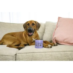 Natural Dog Company Allergy Immune Supplement Dog Chews - Salmon - 90ct 10 Natural Dog Company Allergy Immune Supplement Dog Chews - Salmon - 90ct -PawHut Store GUEST f2d4ec49 c5a3 42d1 8d90 f8db228c5a41