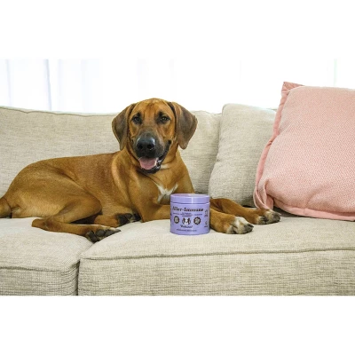 Natural Dog Company Allergy Immune Supplement Dog Chews - Salmon - 90ct 5 Natural Dog Company Allergy Immune Supplement Dog Chews - Salmon - 90ct - Image 5