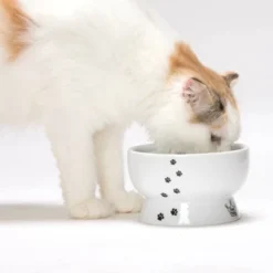 Necoichi Raised Cat Water Bowl -PawHut Store GUEST f480c8e5 6e3a 4215 9b01 6c2425a77945