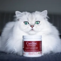 Fera Pet Organics Cardiac Heart Support Powder For Dogs And Cats - Fish Flavor 13 Fera Pet Organics Cardiac Heart Support Powder For Dogs And Cats - Fish Flavor -PawHut Store GUEST f4c8d8cb 890e 4721 97f7 320558c8e6e9