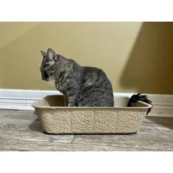Midlee Disposable Cat Litter Boxes Pack Of 5- Travel Portable Pet Tray Liner -PawHut Store GUEST f539d6c7 188f 4049 b4eb 466964999a73