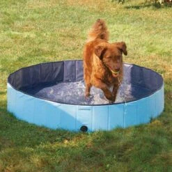 Cool Pup Splash About Portable Dog Pools