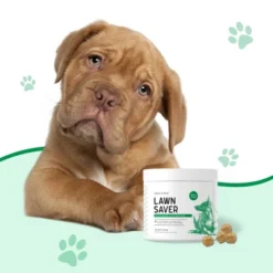 Chew + Heal Lawn Saver, Dog Supplement, Reduces Yellow Spots And Burns On Grass From Urine - 120 Delicious Chews -PawHut Store GUEST f6ee0864 91ae 4347 8619 7fc78913aa37