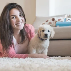 BOSHEL Pet Hair Remover - Lint Roller For Pet Hair - Dog Hair Remover With Big Hair Base - Easy Clean Chom Chom Roller With Comfy Rubber Handle 9 BOSHEL Pet Hair Remover - Lint Roller For Pet Hair - Dog Hair Remover With Big Hair Base - Easy Clean Chom Chom Roller With Comfy Rubber Handle -PawHut Store GUEST f93e26b9 1ac5 4871 bdbf 2da4b9002168