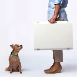 KindTail PAWD Cat And Dog Crate 20 KindTail PAWD Cat And Dog Crate -PawHut Store GUEST f9613ea8 73a8 4d49 8dd4 5ac64868d73f