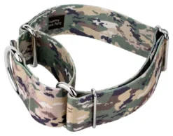 Country Brook Petz 1 1/2 Inch Mountain Viper Camo Martingale Dog Collar -PawHut Store GUEST f9770237 ba60 4fbe b373 d6495ecc225a