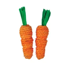 AE Cage Company Nibbles Carrot Loofah Chew Toys With Jute - 2 Count