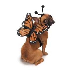 Zack & Zoey Butterfly Glow Harness Costume For Dogs -PawHut Store GUEST fb7919e4 41ec 4523 94d2 4a12a6e3172c