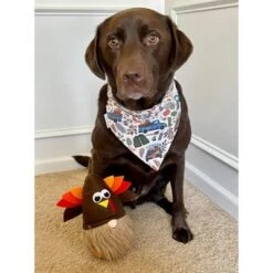 Midlee Thanksgiving Gnome Dog Toy With Hidden Ball 9 Midlee Thanksgiving Gnome Dog Toy With Hidden Ball -PawHut Store GUEST fbe29a1a a724 4c3d aa4b 30c5bff1fde3