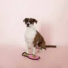 PetShop By Fringe Studio Pink Champagne Durable Plush Dog Toy