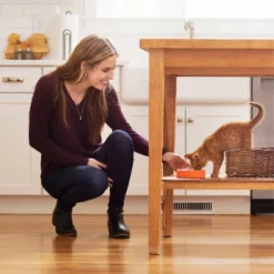 IAMS Proactive Health With Chicken Kitten Premium Dry Cat Food -PawHut Store GUEST fc7bfed5 b824 43b3 bfc6 abd57e2334b5