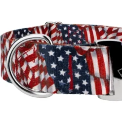 Country Brook Petz 1 1/2 Inch Premium Patriotic Tribute Dog Collar -PawHut Store GUEST fc7c951a 1605 4ef2 a8d3 5ff54d691299