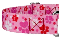 Country Brook Design Puppy Love Martingale Dog Collar -PawHut Store GUEST fce6d3b2 4eb1 4359 a7dc 4c2cf74a17da