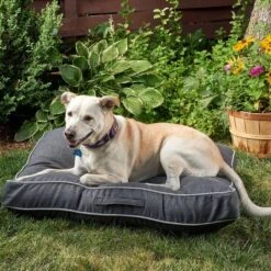 Winn + Willow Sadie Piping Dog And Cat Bed - Charcoal And Gray -PawHut Store GUEST fcf7760b 0ff3 422f 99fd abe85dac36ab