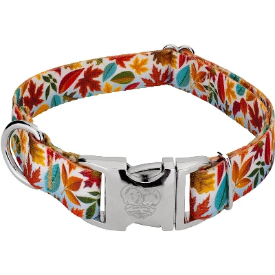 Country Brook Petz Premium Brisk Autumn Dog Collar 4 Country Brook Petz Premium Brisk Autumn Dog Collar - Image 4