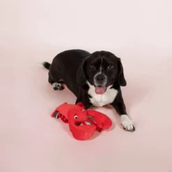 PetShop By Fringe Studio You're My Lobster Dog Toy