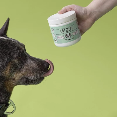 Natural Dog Company Calming Vitamin Chews - Bacon & Peanut Butter - 90ct 4 Natural Dog Company Calming Vitamin Chews - Bacon & Peanut Butter - 90ct - Image 4