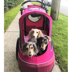 Petique All Terrain Cozy & Comfortable Pet Jogger Stroller With Tire Pump - Up To 77 LB