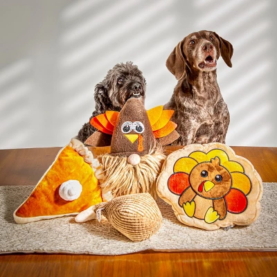 Midlee Thanksgiving Gnome Dog Toy With Hidden Ball 4 Midlee Thanksgiving Gnome Dog Toy With Hidden Ball - Image 4