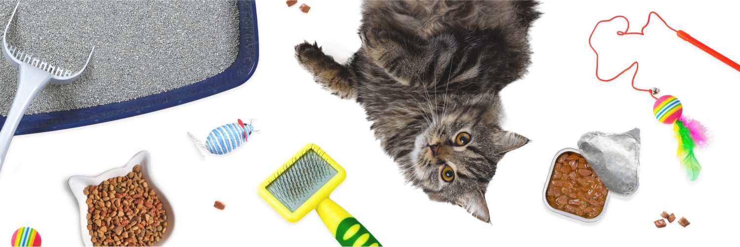 PawHut Store -PawHut Store RoverBranded CostOfPetParenthood 2025 Cat Hero